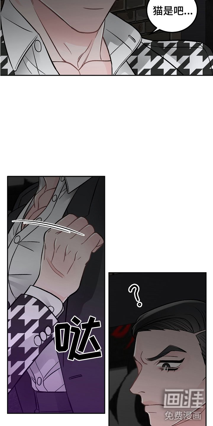 第7章：学猫叫