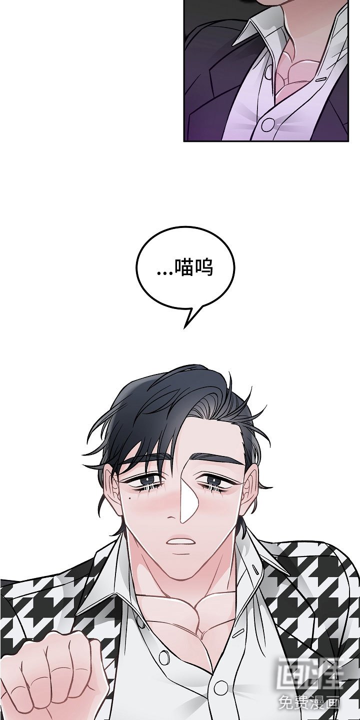 第7章：学猫叫