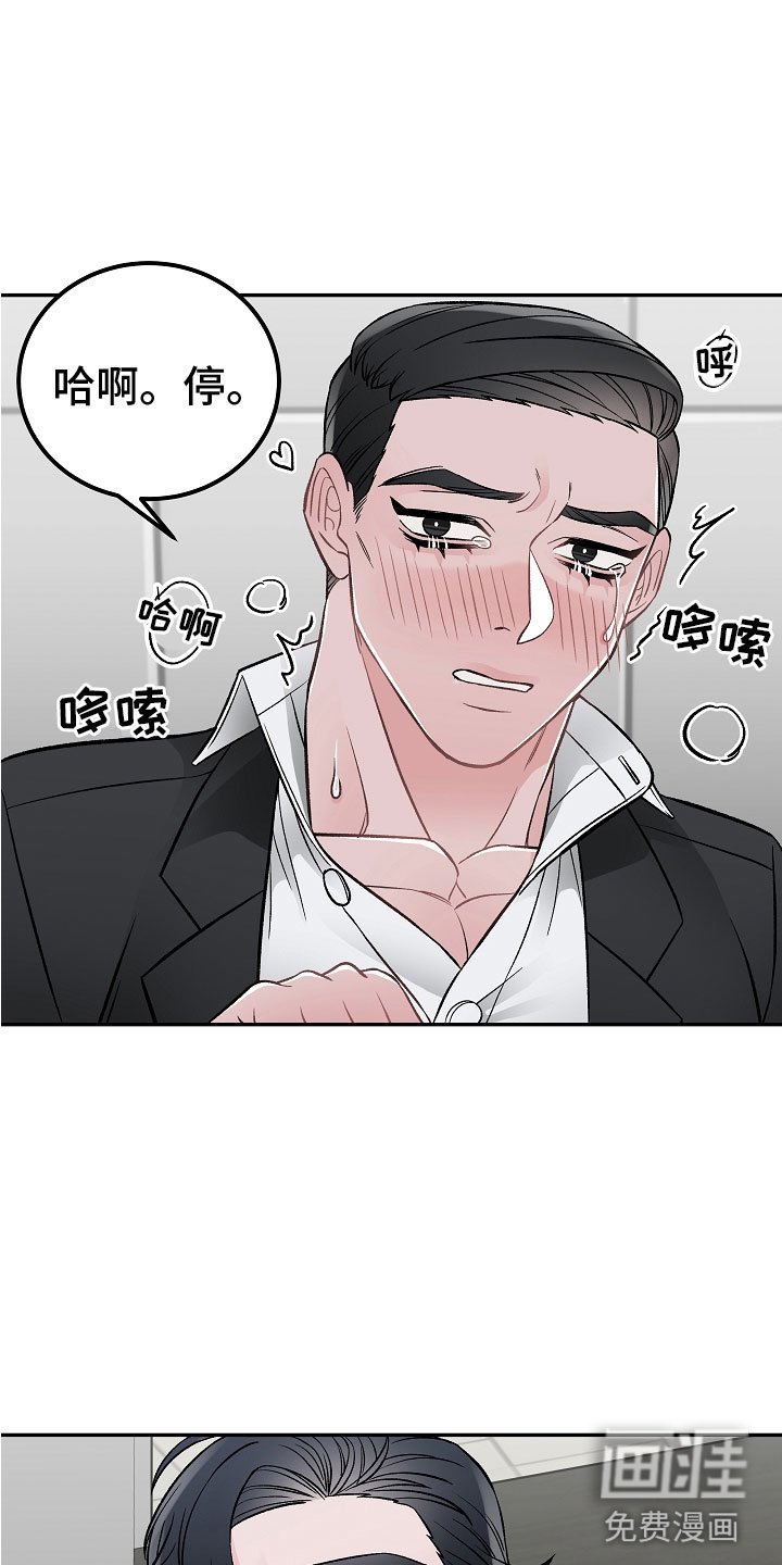 第9章：完美伙伴