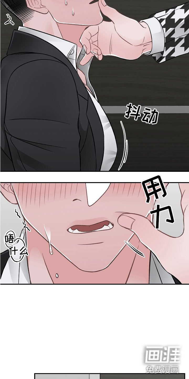 第9章：完美伙伴