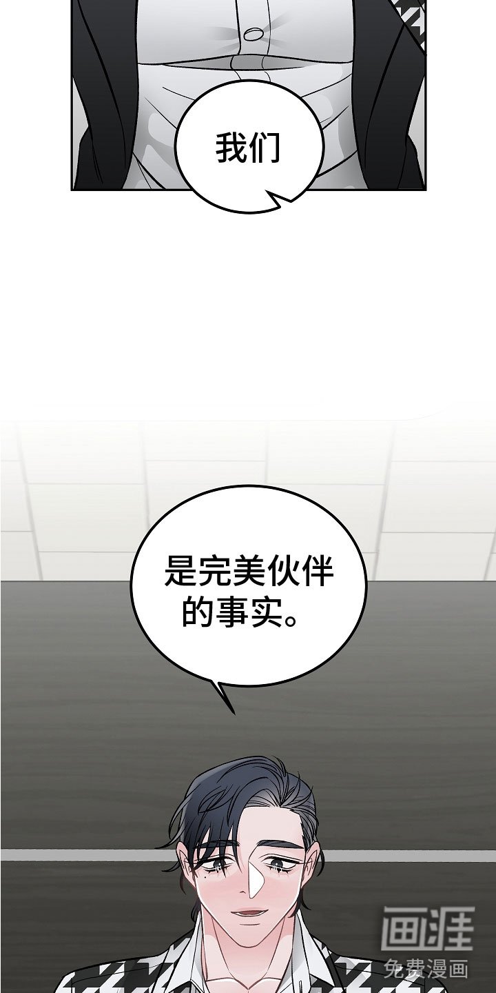 第9章：完美伙伴