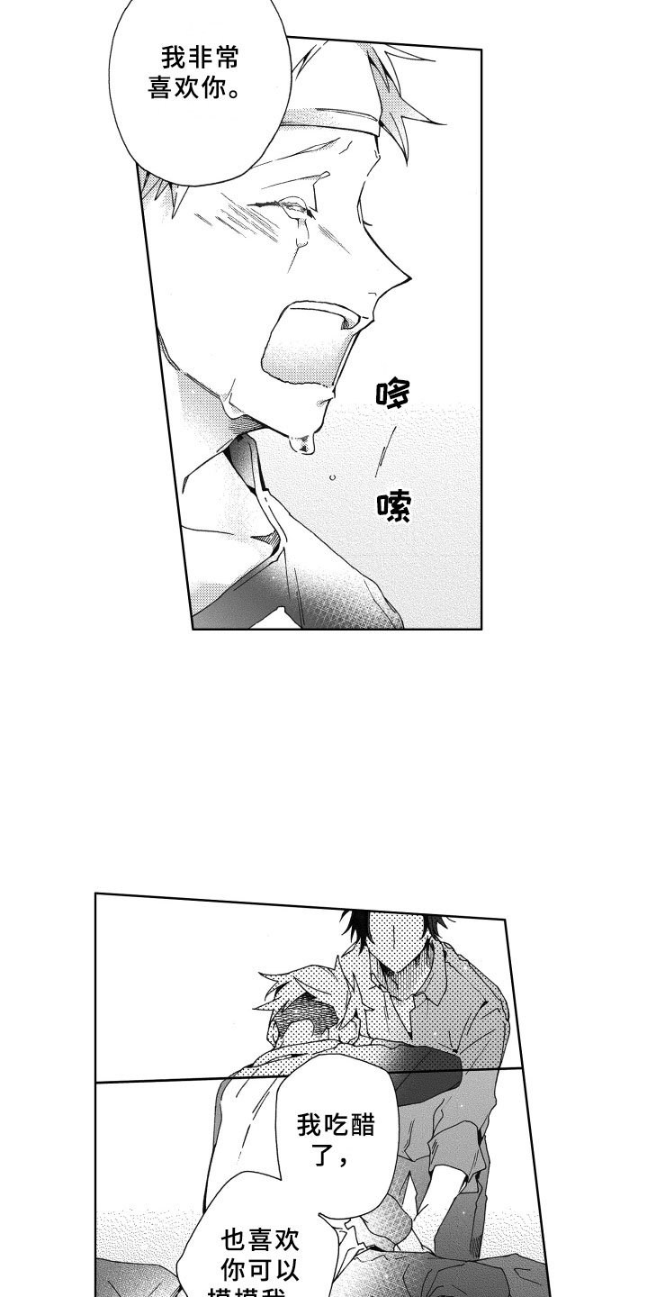 第17章：心意