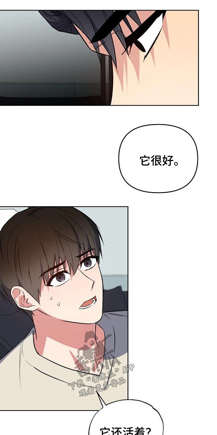 第33章：小狗