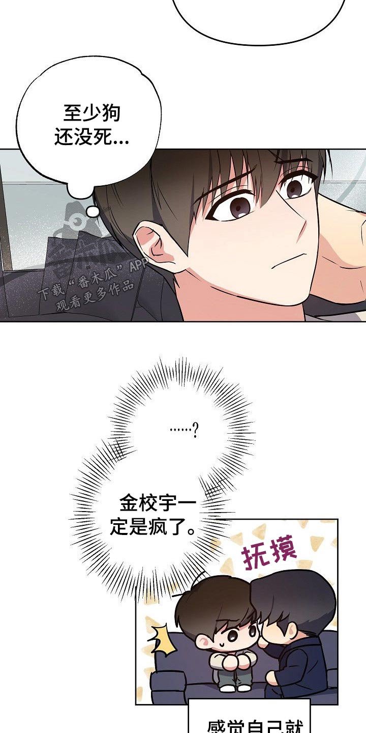 第33章：小狗