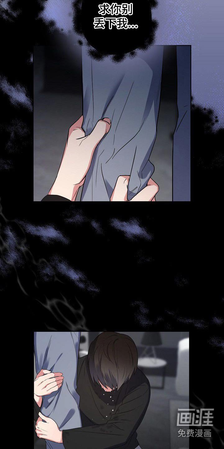 第46章：搜索了解