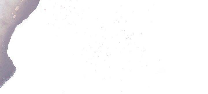 第49章：笑容