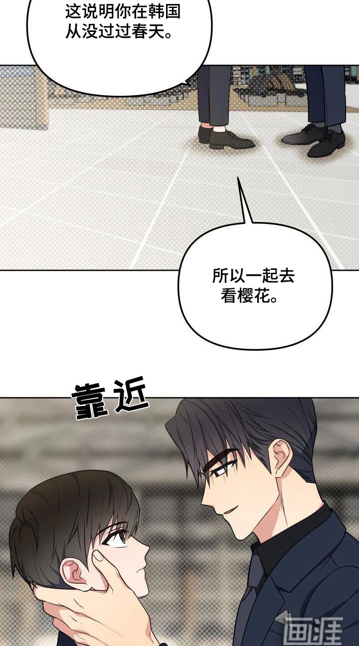 第88章：樱花