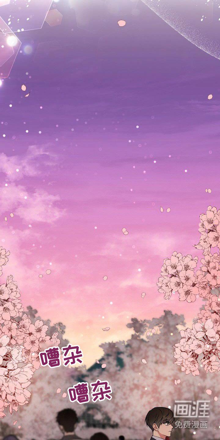 第88章：樱花