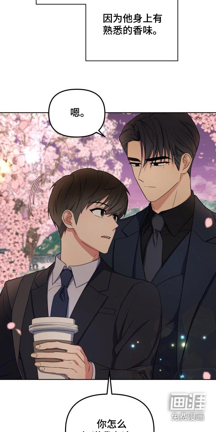 第88章：樱花