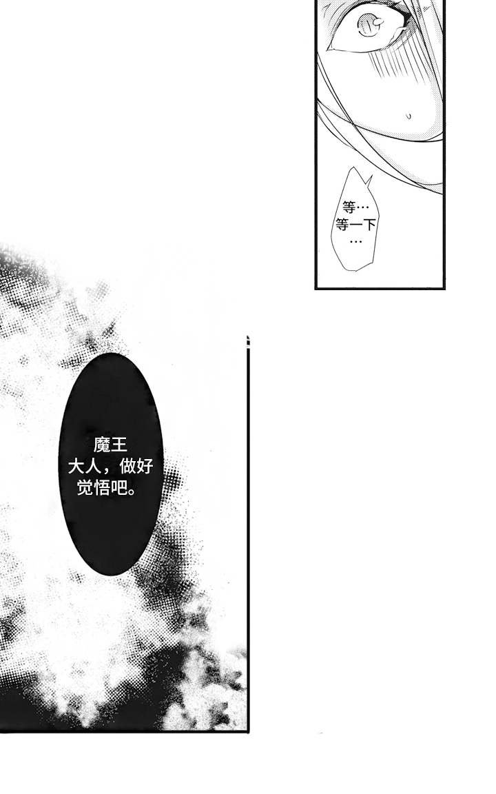 第8章：主导权