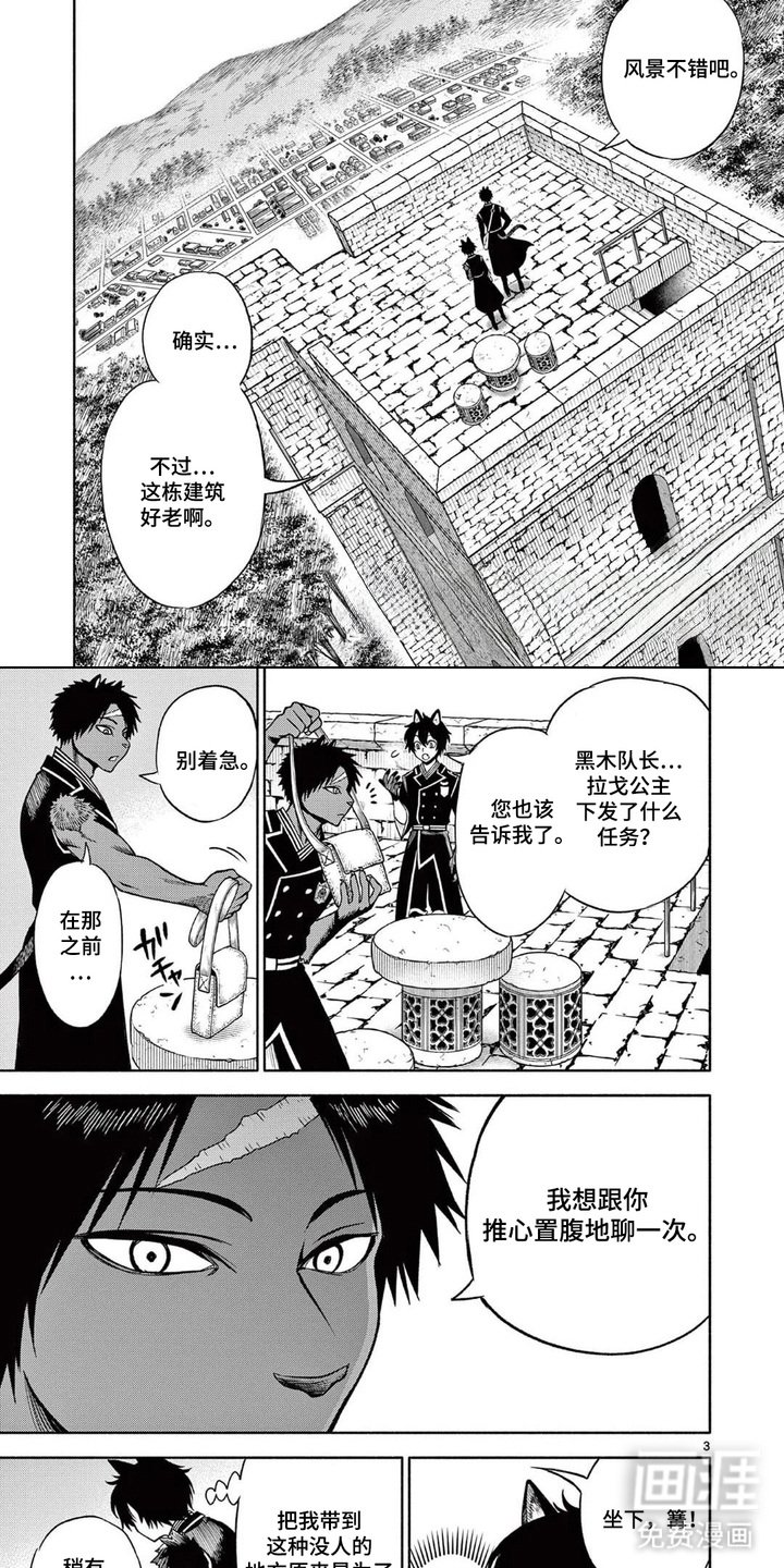 第13章：试探