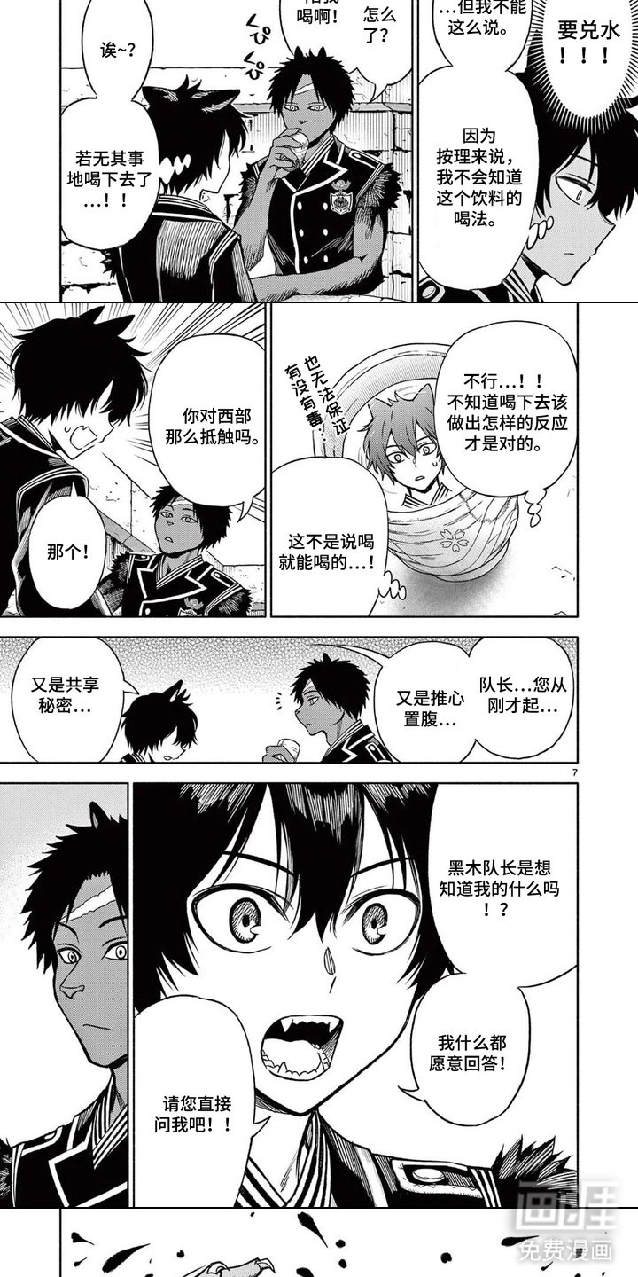 第13章：试探