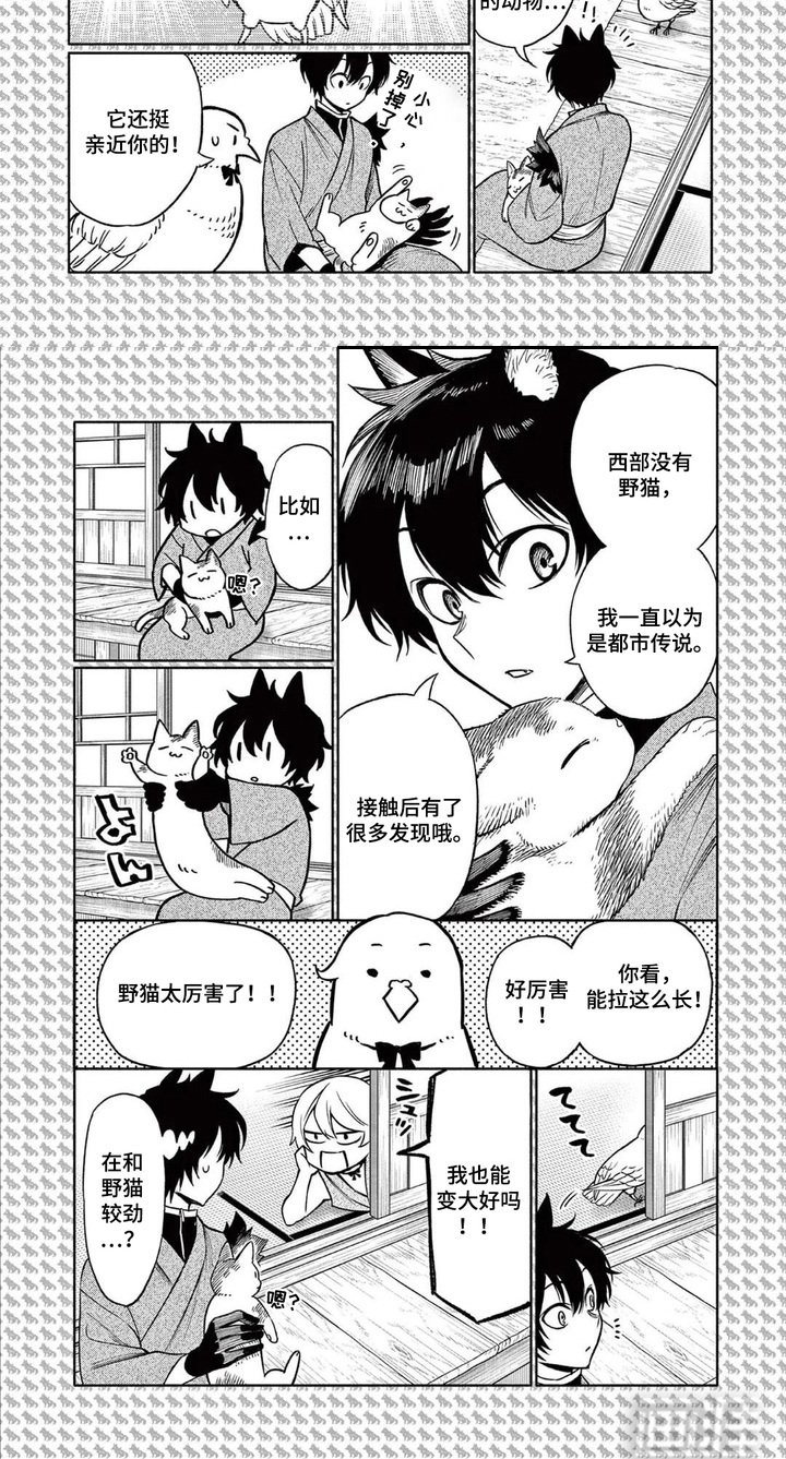 第9章：打消怀疑