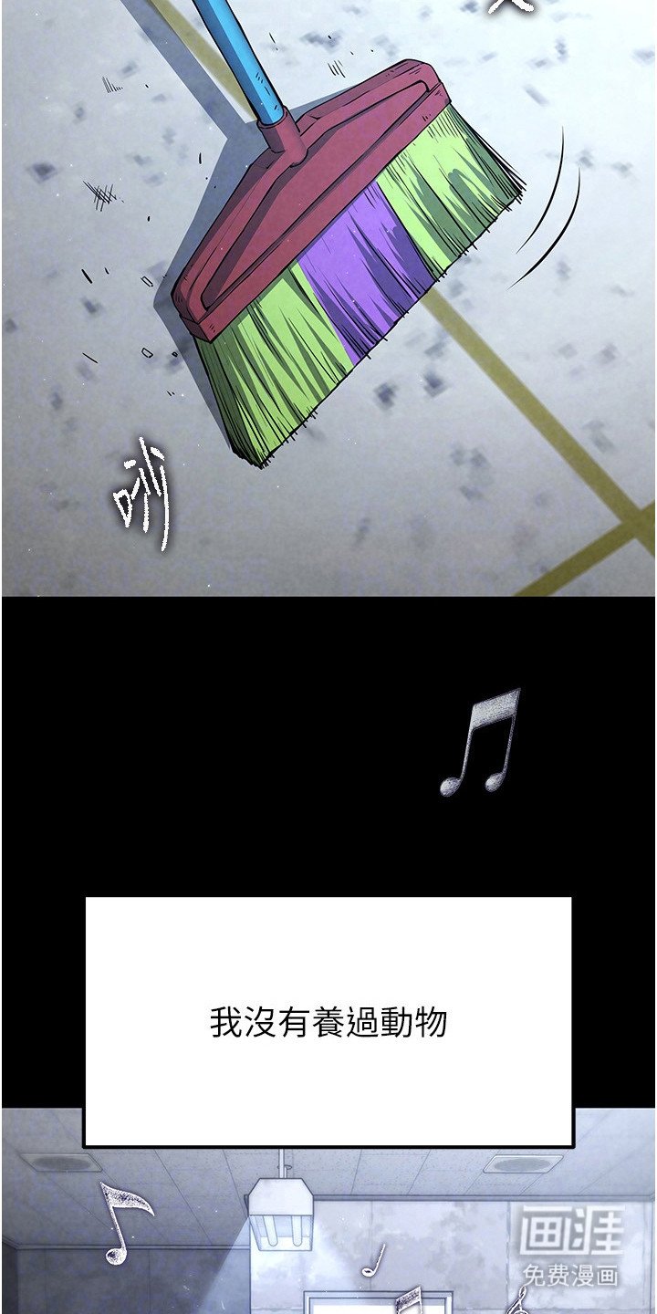 第13章：态度强势