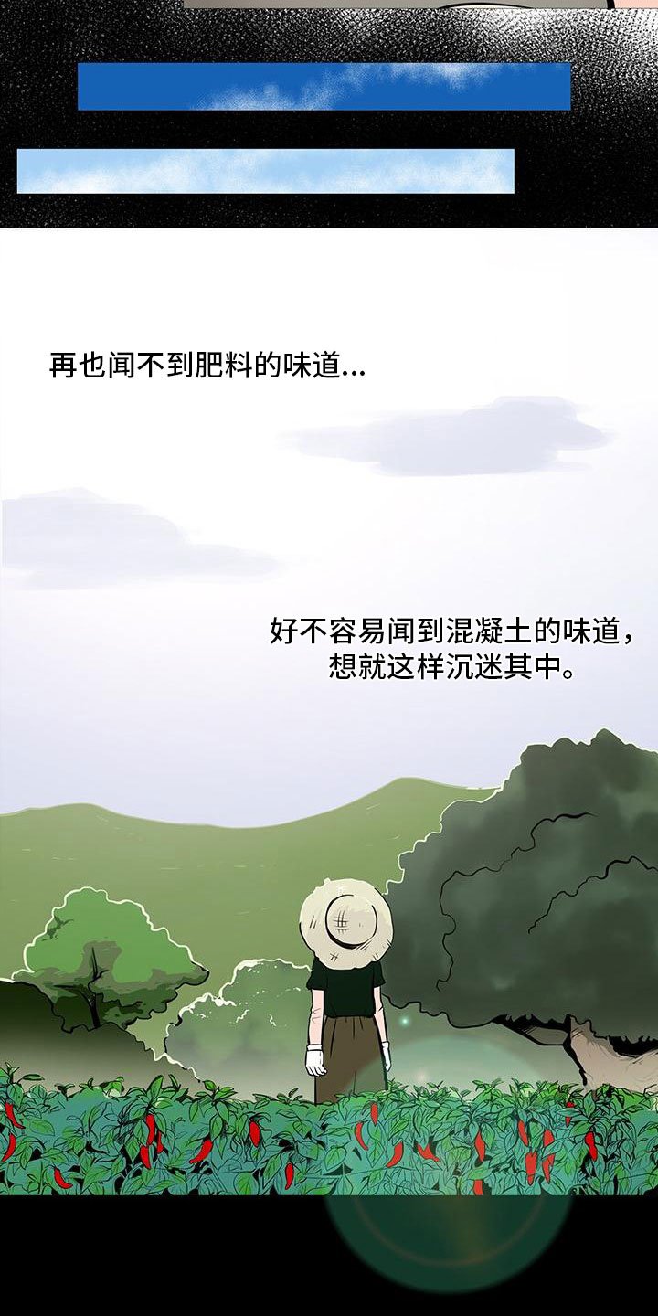 第4章：人气组合