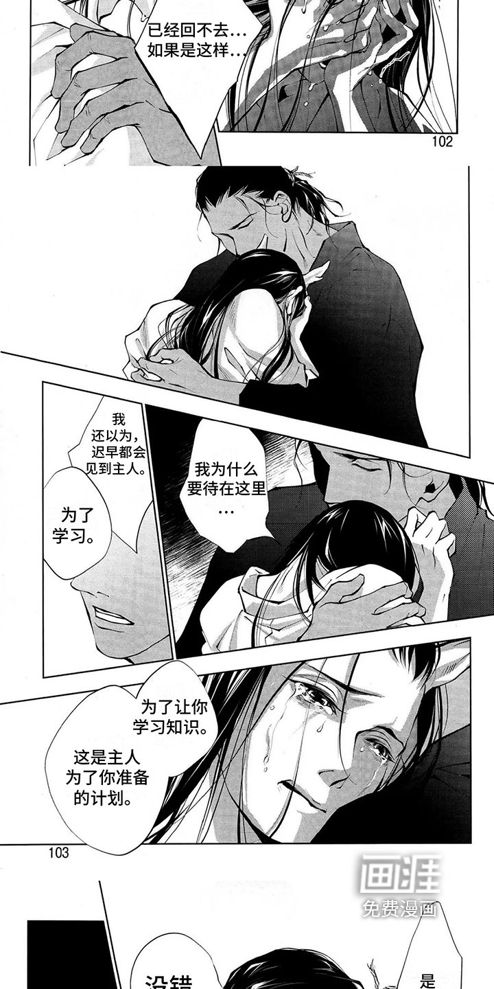 第10章：想法