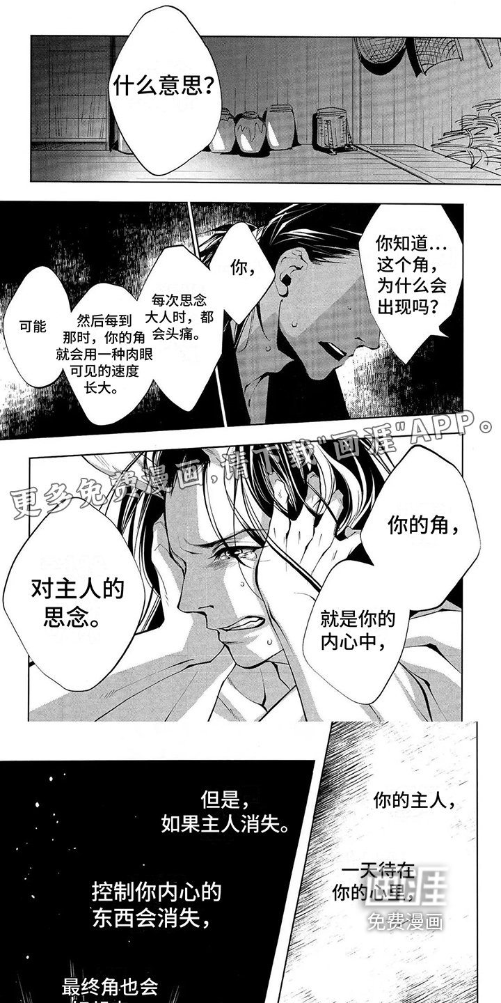 第14章：脱落