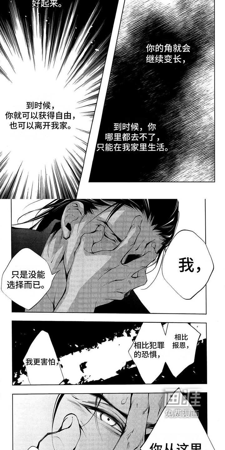 第14章：脱落