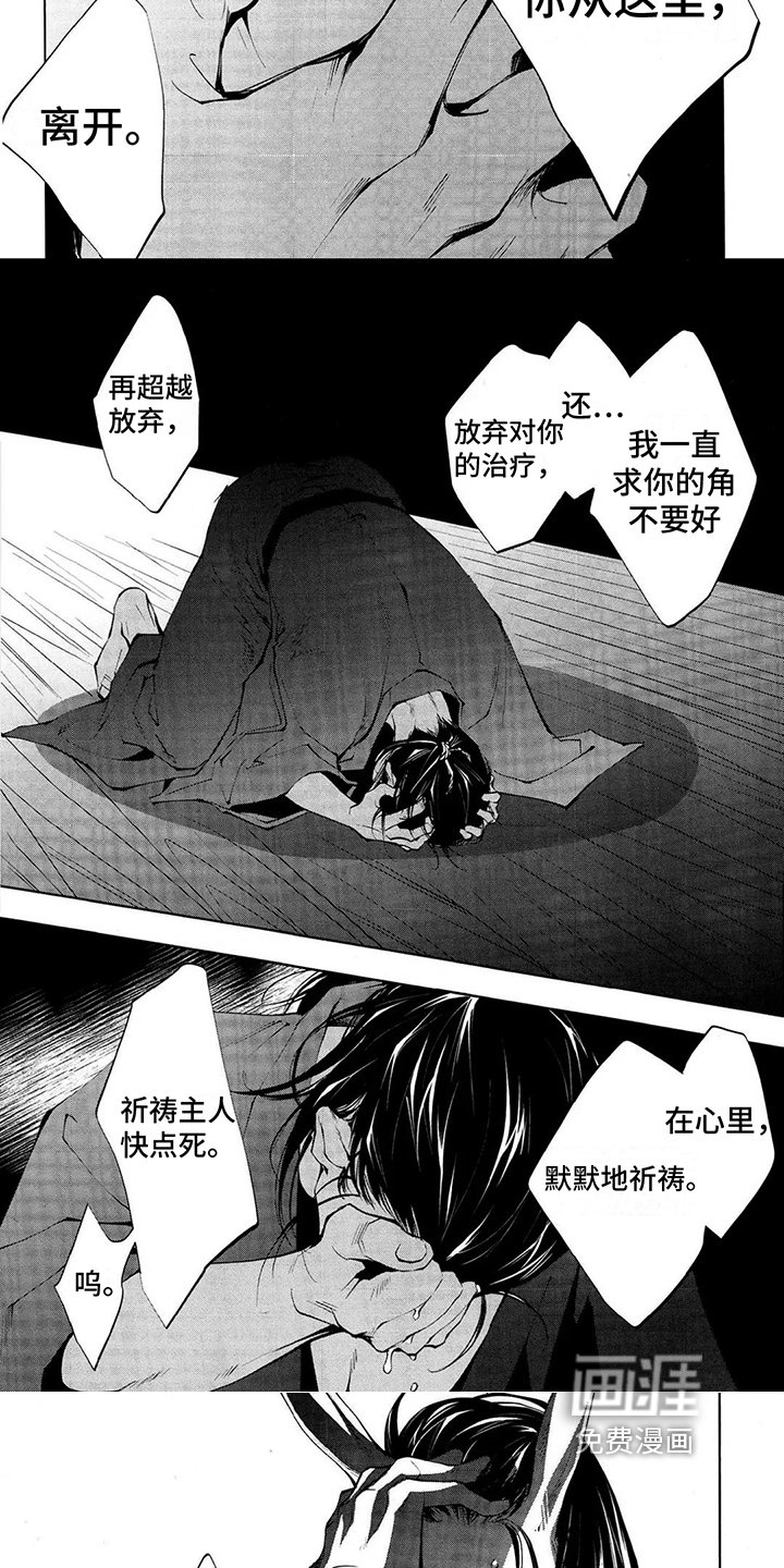 第14章：脱落