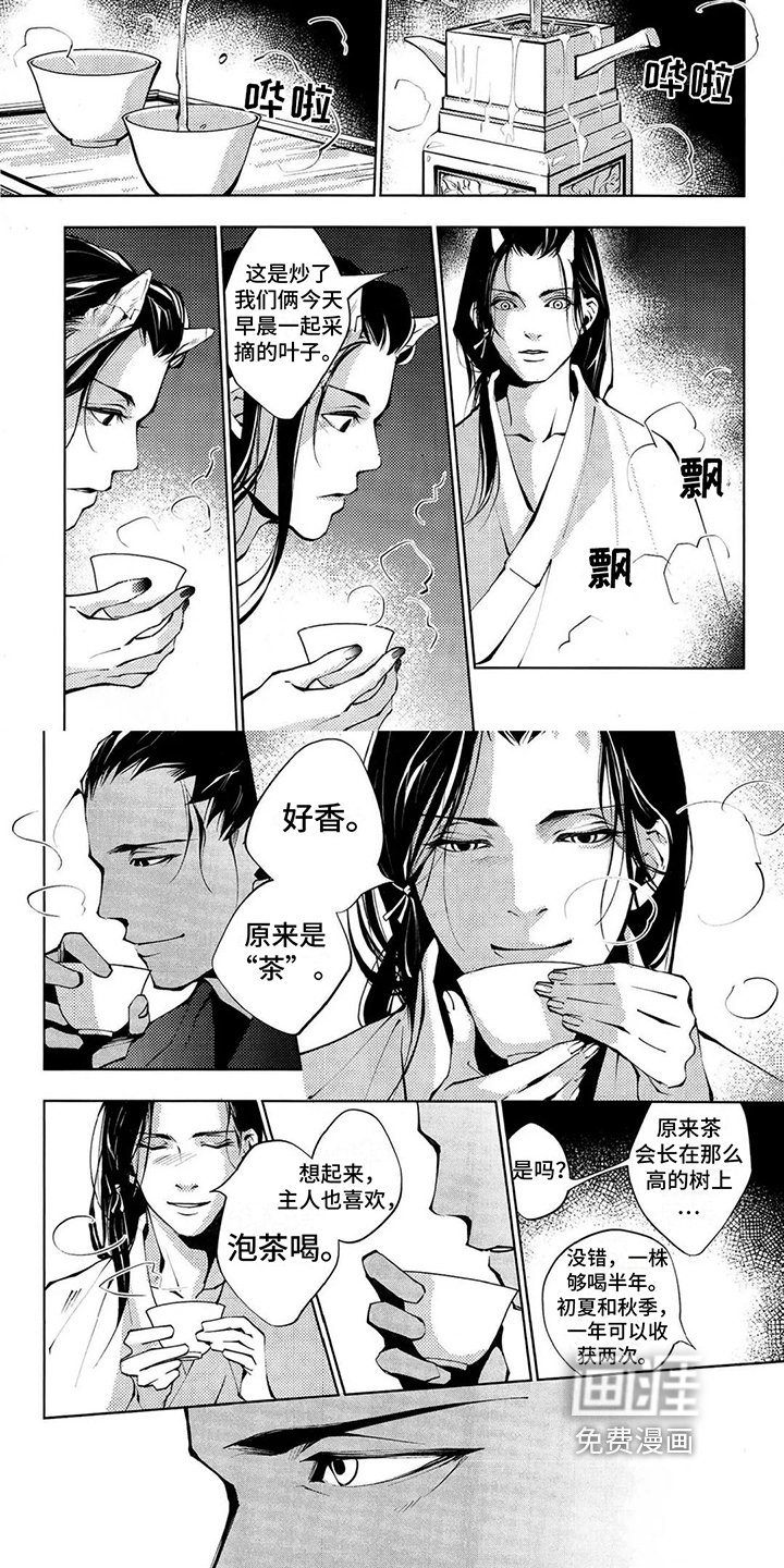 第5章：泡茶