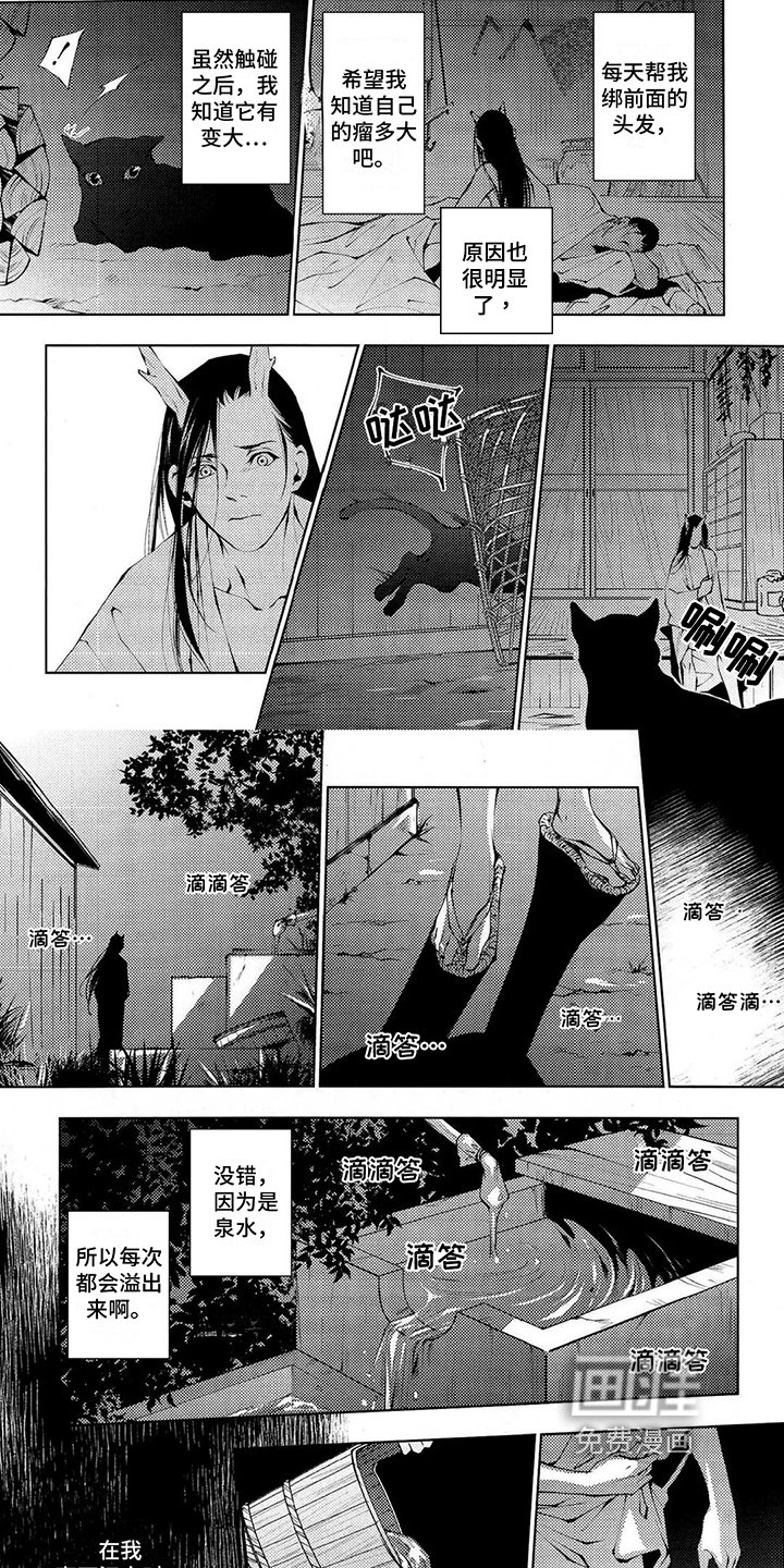 第9章：模样
