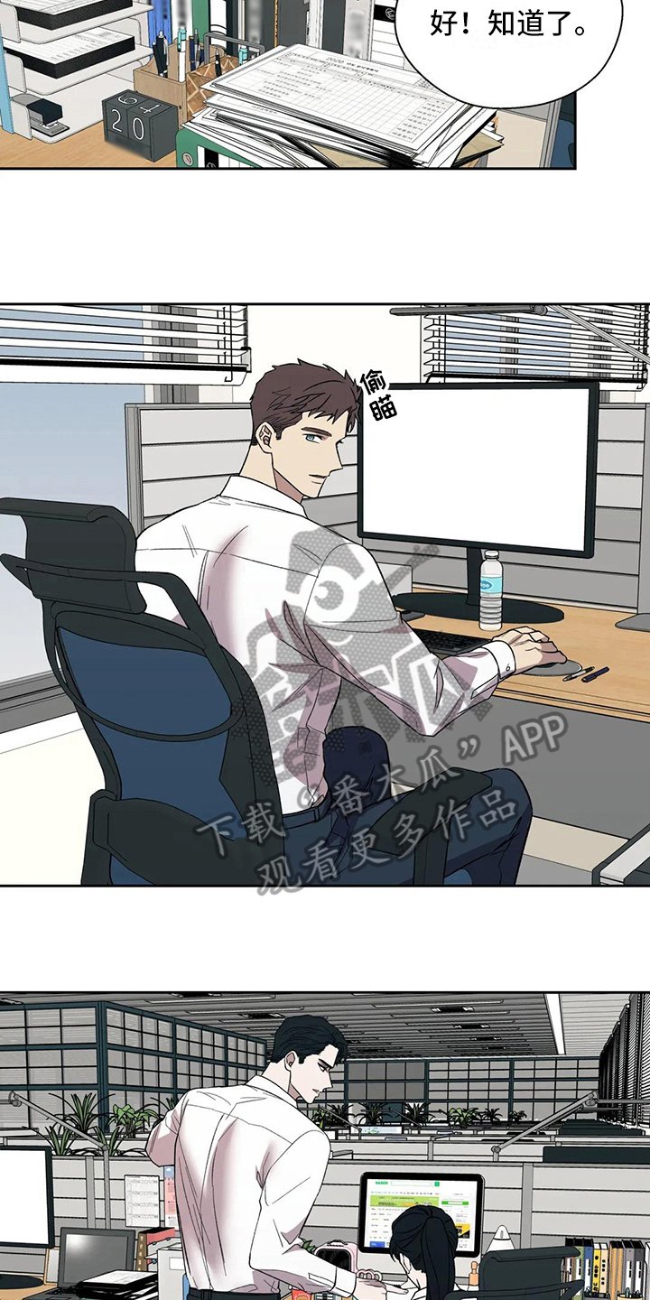 第13章：陷入爱河