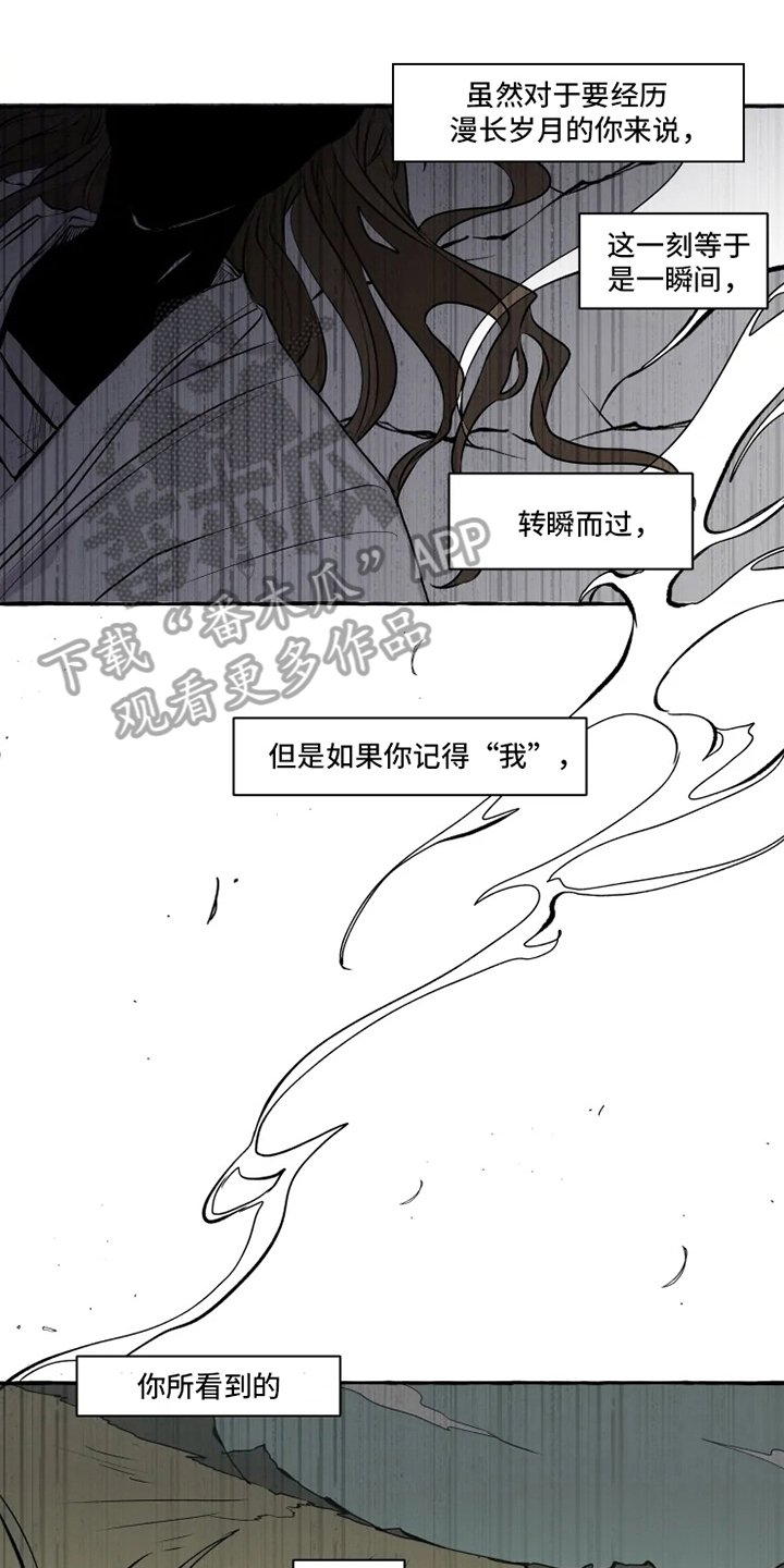 第12章：向导