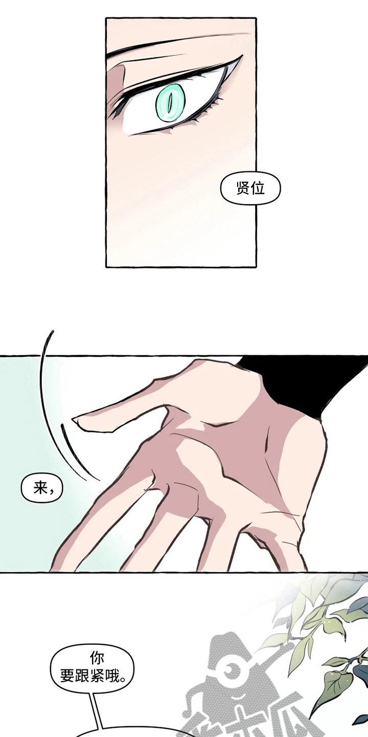 第12章：向导