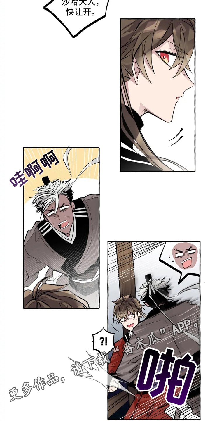 第12章：向导