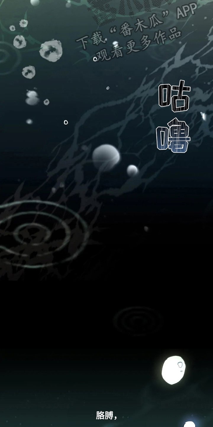 第13章：怀抱