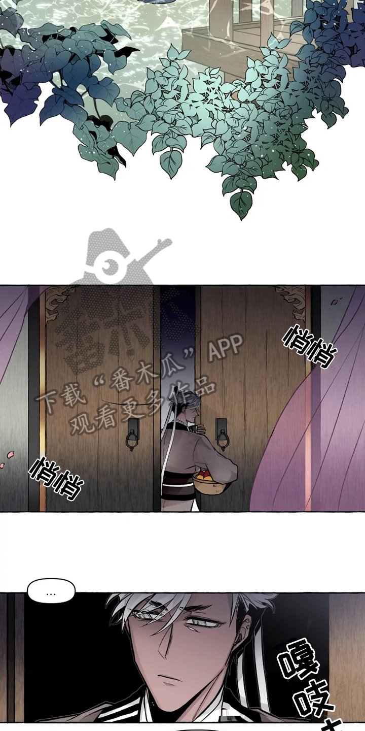 第15章：感受