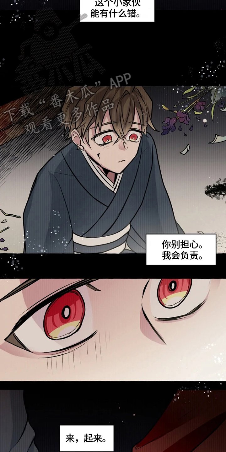 第26章：收养