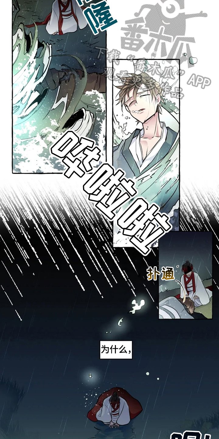 第28章：条件