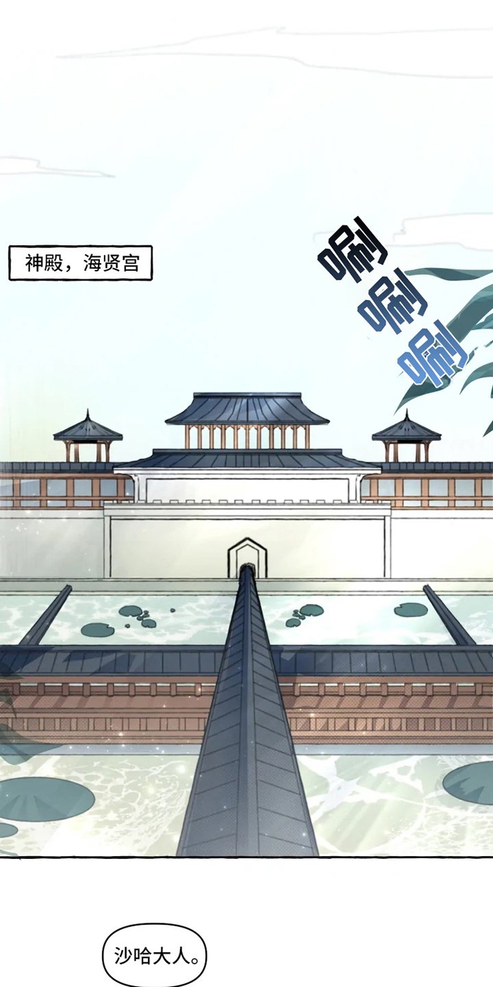 第3章：关注