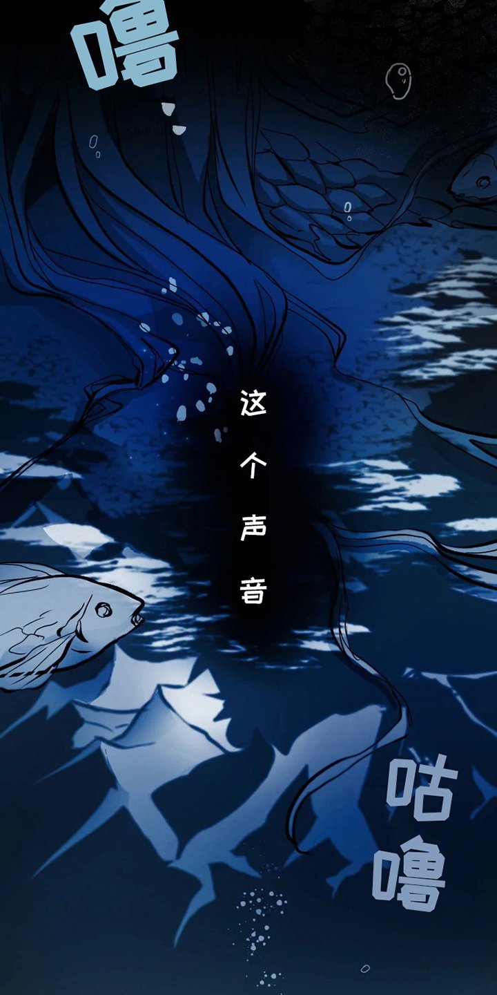 第3章：关注