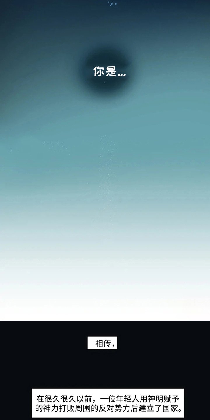 第3章：关注