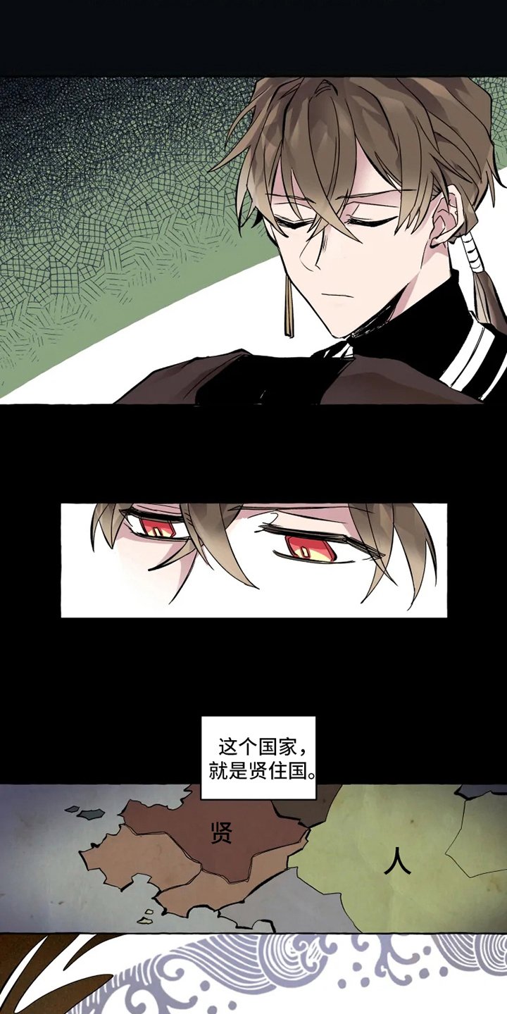 第3章：关注