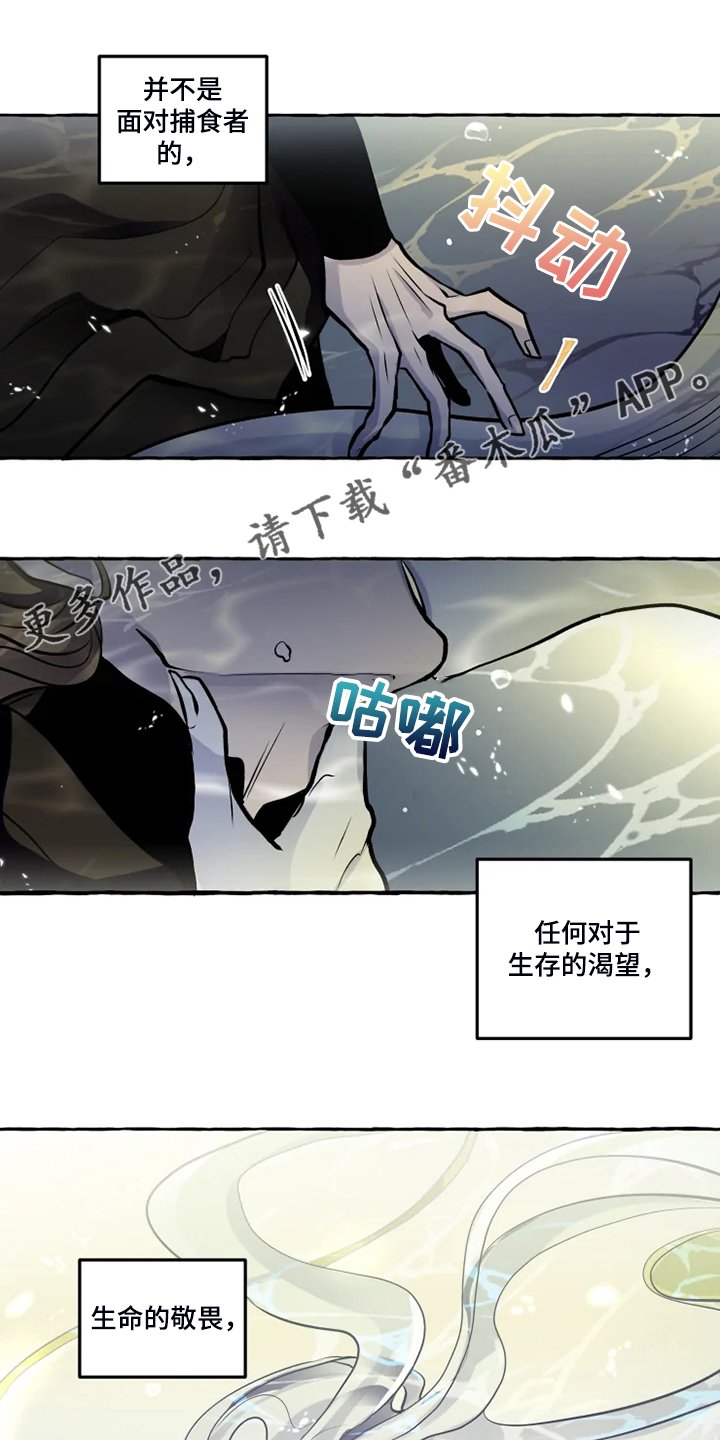 第38章：生命的敬畏