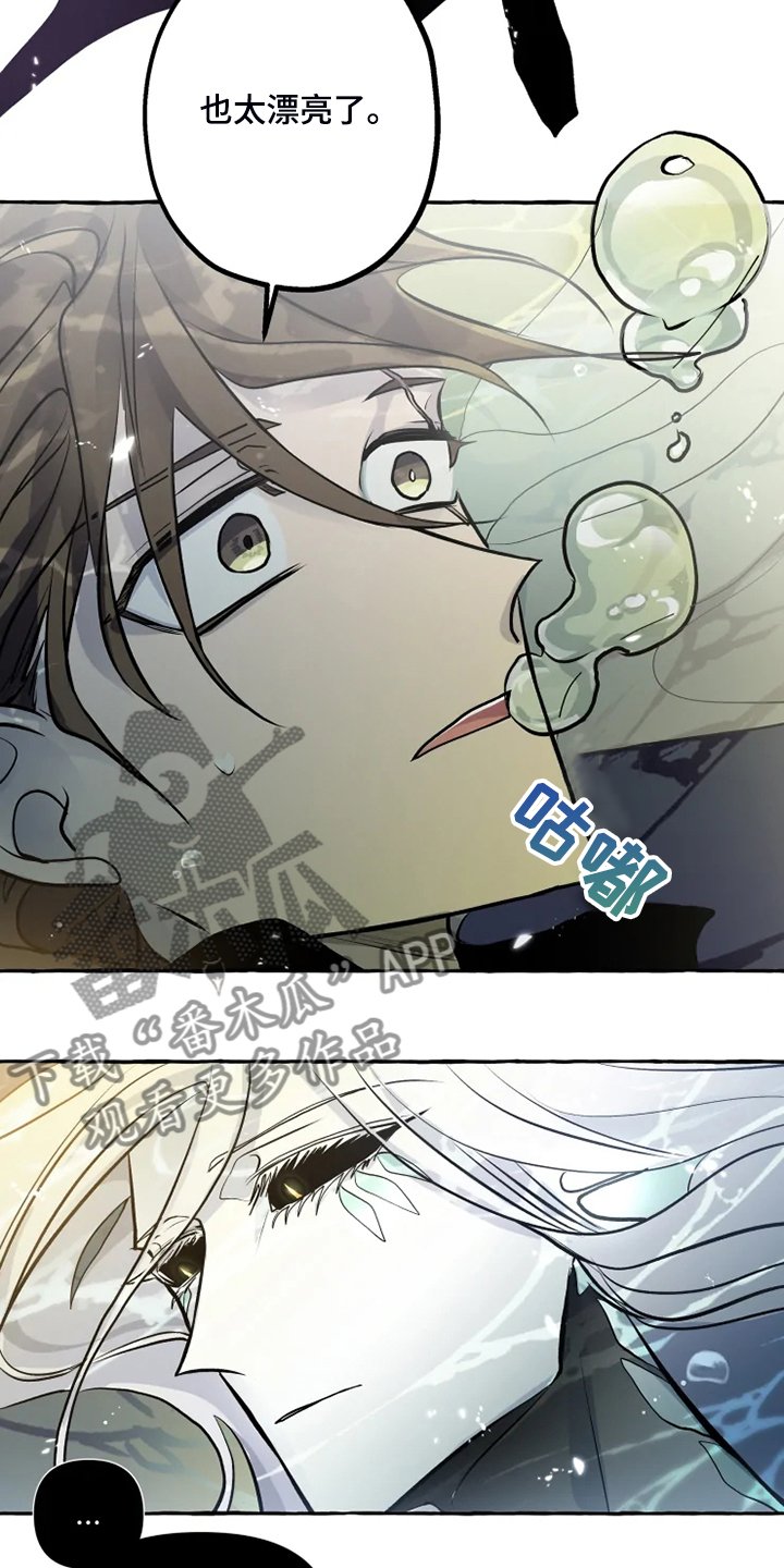第38章：生命的敬畏