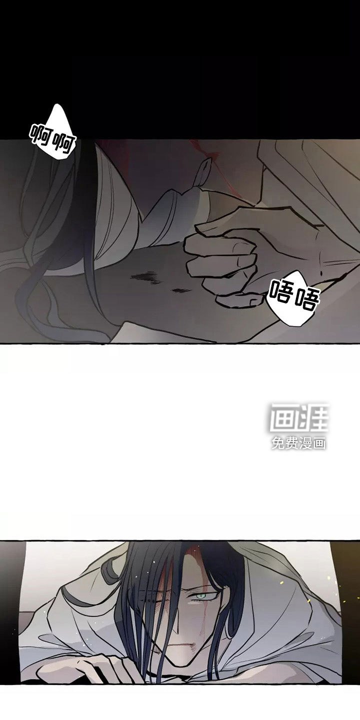 第56章：沙哈的神
