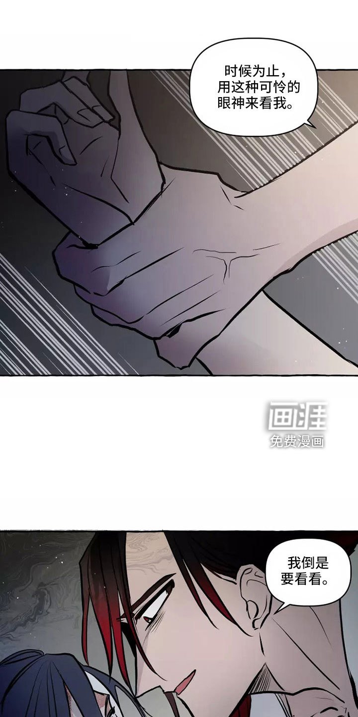 第56章：沙哈的神