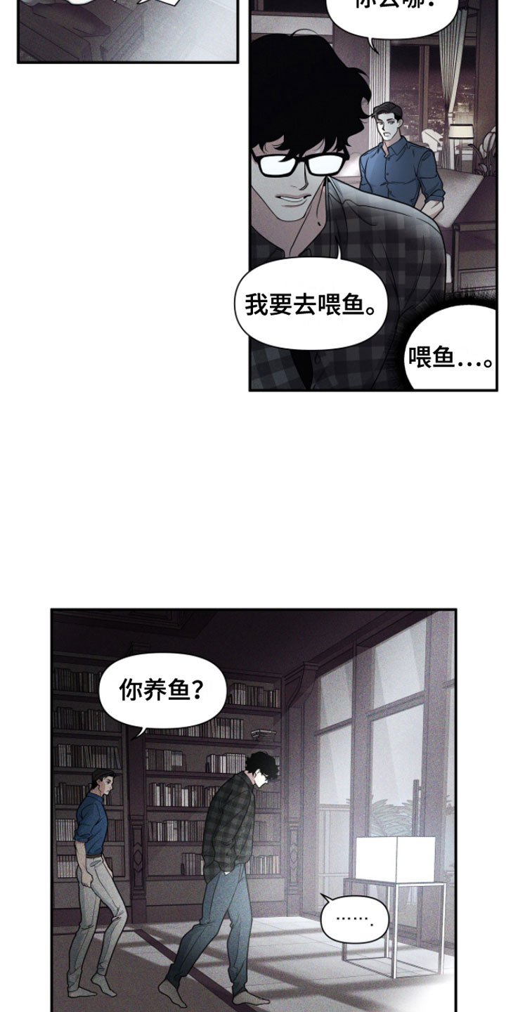 第3章：有趣