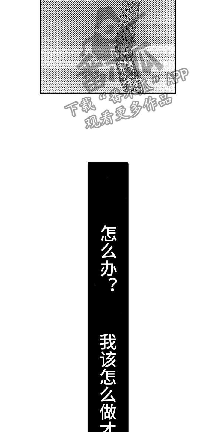 第29章：电视声明