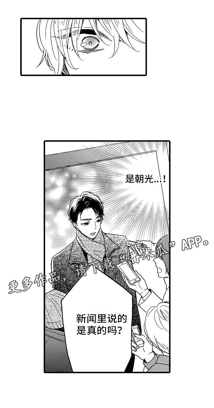 第29章：电视声明