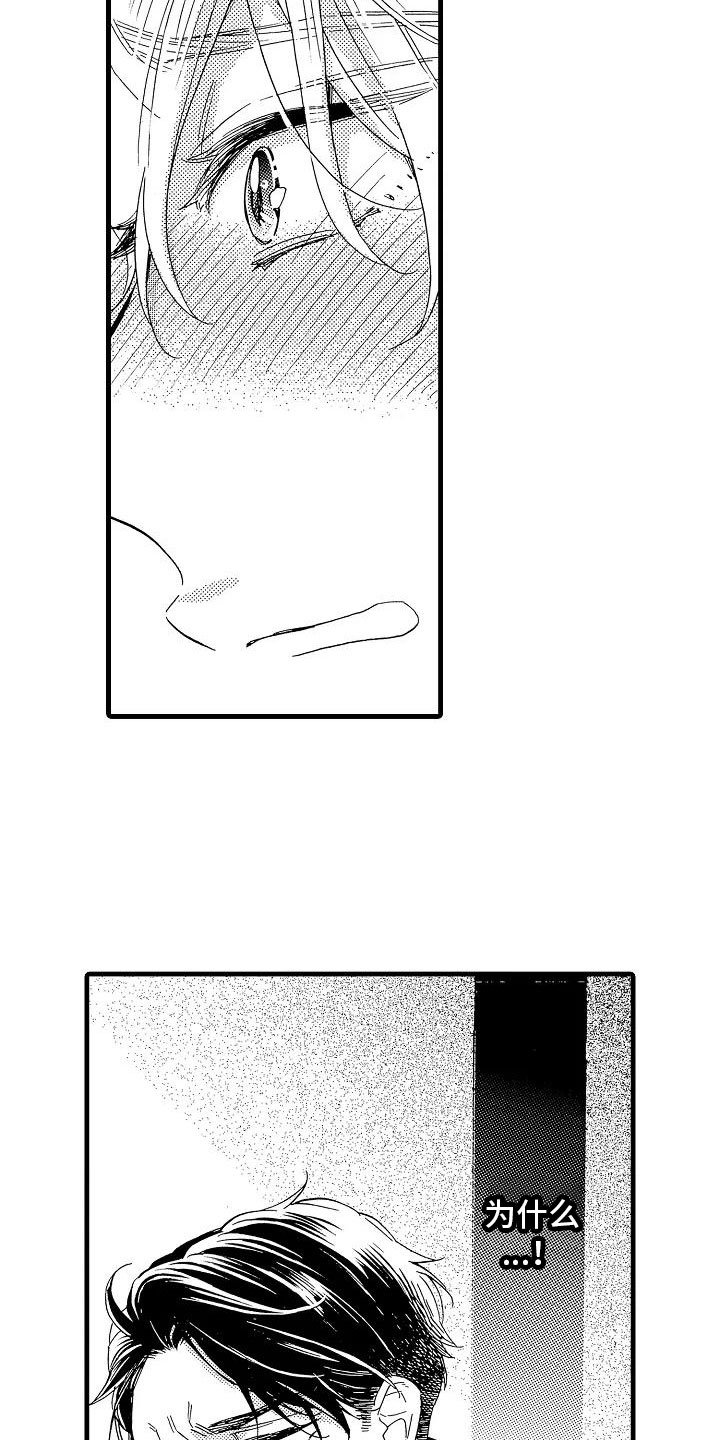 第29章：电视声明