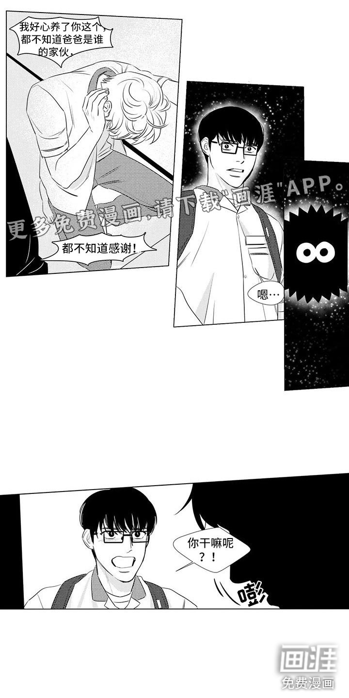 第12章：闭嘴