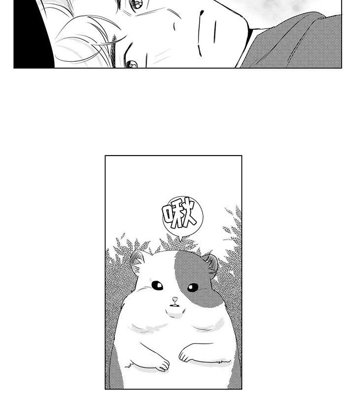 第16章：邀请