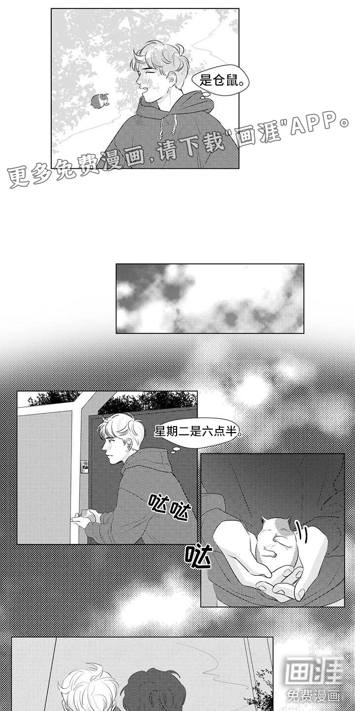 第17章：仓鼠