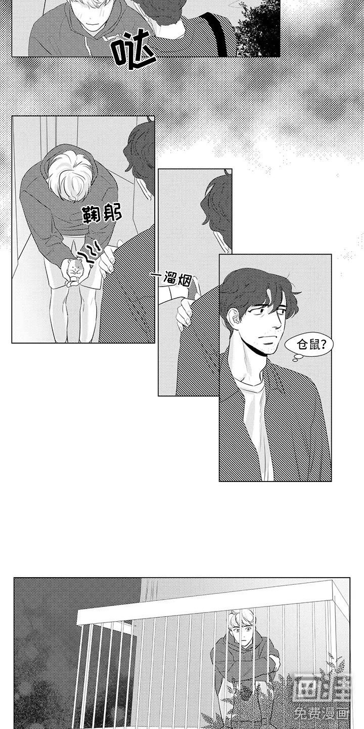 第17章：仓鼠