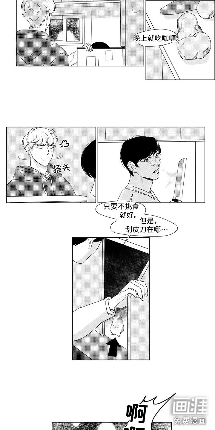 第17章：仓鼠